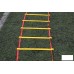 Coordination Ladder, 6m length