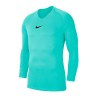 Nike JR Dry Park First Layer 354
