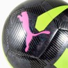 Puma Cage
