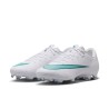 Nike Zoom Mercurial Vapor 17 Academy FG/MG